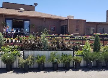 new-mexico/los-alamos/shop/petree-garden-center-florist