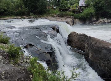 pennsylvania/ohiopyle-state-park/shop/ferncliff-peninsula-natural-area