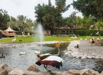 bahrain/al-areen-wildlife-park/shop/al-areen-wildlife-park-birds-area