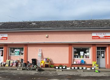 slovakia/zemplin/shop/alica-kosztyuova-koral