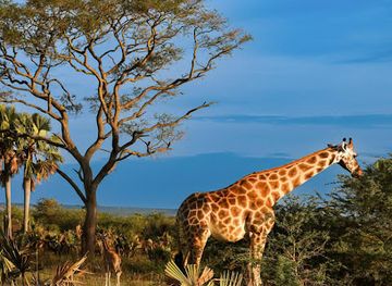 uganda/murchison-falls-national-park/shop/murchison-falls-national-park-kichubanyobo-entrance-gate