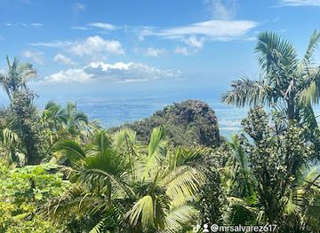 puerto-rico/yunque-national-forest/shop/el-yunque-peak-tower