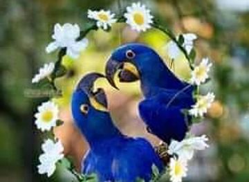 morocco/tetouan/shop/maerad-alrasm-alrahal-muhsin