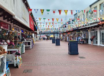 south-africa/garden-route/shop/out-of-curiocity