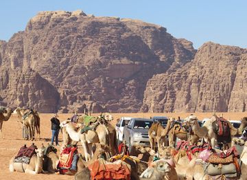 jordan/wadi-ghuweir/shop/wadi-rum-visitor-center