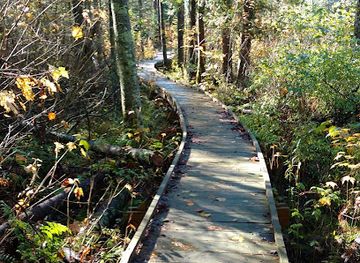 wisconsin/ice-age-trail/shop/ice-age-trail-plover-river-segment
