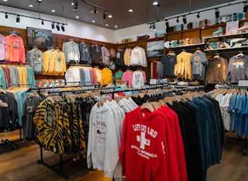 california/santa-monica/shop/sand-n-surf