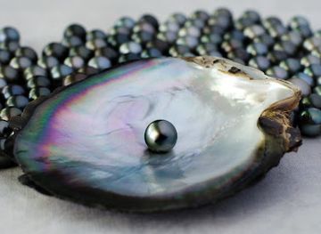 togo/lake-togo-area/shop/ablagan-shop