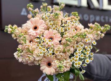 ukraine/lutsk/shop/verdi