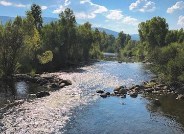 Steamboat Flyfisher