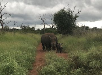 eswatini/malolotja-nature-reserve/shop/hlane-royal-national-park