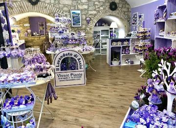 italy/assisi/shop/negozio-il-lavandeto-di-assisi-assisi-piazza-santa-chiara-assisi-di-assisi