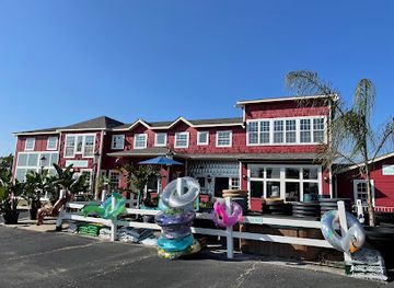 missouri/lake-of-the-ozarks/shop/florida-direct-palm-trees-key-west-swim-surf