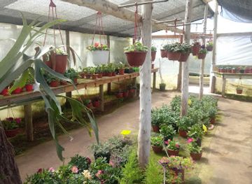 chile/norte-chico/shop/vivero-isla-negra