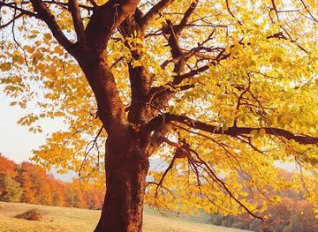 nepal/chitwan/shop/bhandari-chok