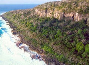 christmas-island/margaret-knoll/shop/christmas-island-national-park