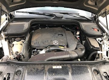 chad/lake-chad/shop/mbf