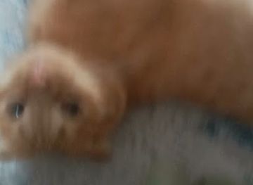 kazakhstan/aktobe/shop/minimarket