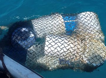 kiribati/kiritimati-christmas-island/shop/reef-colors-supplier