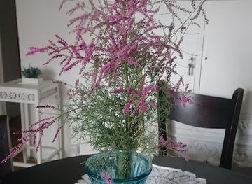 uruguay/jose-ignacio/shop/renner