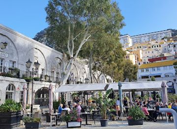 gibraltar/gibraltar-nature-reserve/shop/gibraltar-arts-and-crafts