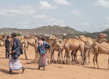 ethiopia/danakil-depression/shop/camel-market