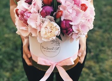 romania/deva/shop/the-secret-gift