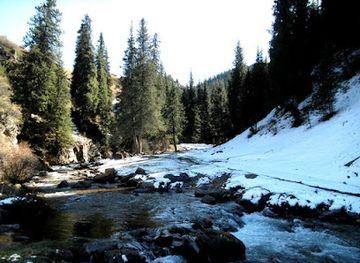 kazakhstan/assy-plateau/shop/ushchel-ye-asy