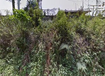 bhutan/tsirang/shop/tsirangnatural-sales-outlet