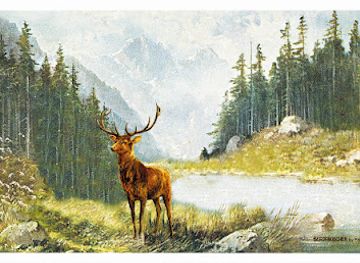 germany/bavarian-alps/shop/jahrmarkt-der-sinne-e-k