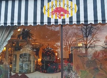 ohio/youngstown/shop/joshua-tree