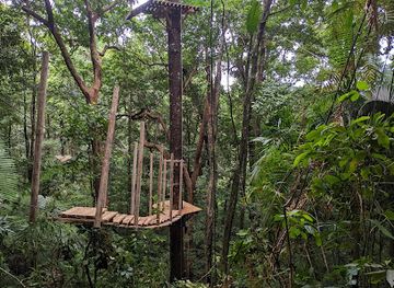 australia/cape-tribulation/shop/treetops-adventure-cape-tribulation