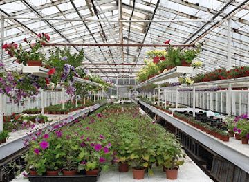 iceland/hveragerdi-area/shop/garoplontusalan-borg