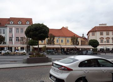 lithuania/zemaitija-national-park/shop/amber-museum-gallery