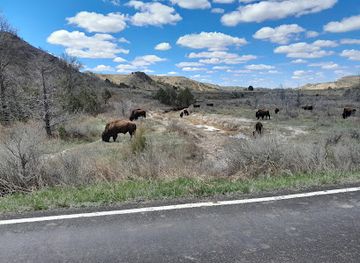 north-dakota/theodore-roosevelt-national-park/shop/theodore-roosevelt-national-park