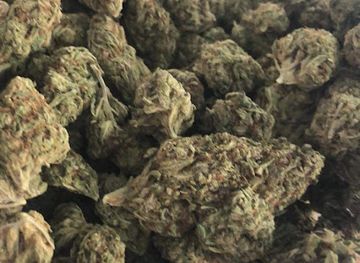 oklahoma/little-sahara-state-park/shop/joint-pain