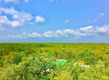india/sundarbans/shop/sajnekhali-watch-tower