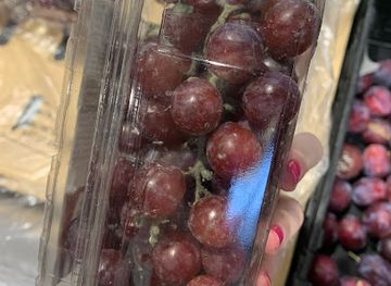 czechia/south-bohemia/shop/billa-supermarket