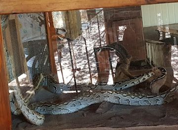 botswana/chobe-district/shop/chobe-women-s-arts-crafts