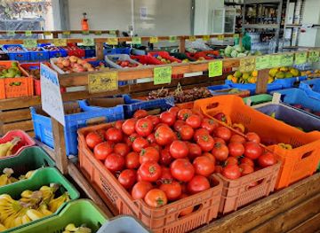 cyprus/adonis-baths-waterfalls/shop/froutaria-theofanis