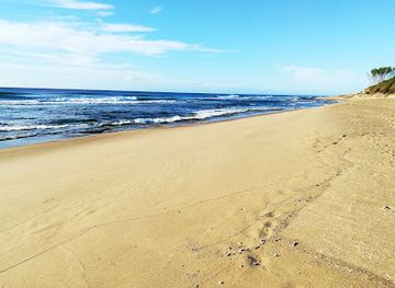 south-africa/isimangaliso-wetland-park/shop/blackfish-artist