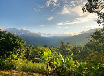 jamaica/blue-mountains/shop/blue-mountains-national-park
