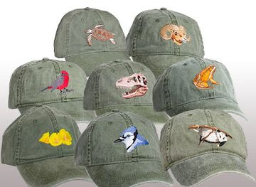 arizona/chiricahua-mountains/shop/tom-s-bird-feeders-reptile-supplies