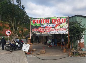 vietnam/dalat/tuyen-lam-lake/shop/da-c-sa-n-thu-y-chung-da-lat