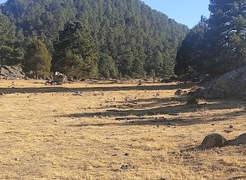 mexico/sierra-madre-occidental/shop/abarrotes-corral