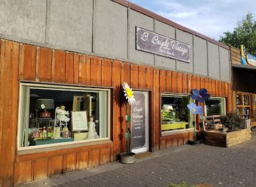 oregon/wallowa-mountains/shop/b-bright-vintage