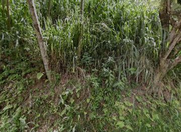 sri-lanka/ella/shop/newburgh