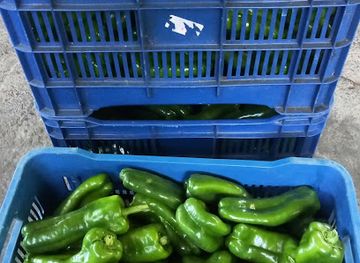 nicaragua/ometepe/shop/venta-verdureria-bendicion-de-dios