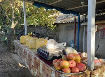 georgia/kakheti/shop/cheese-shop