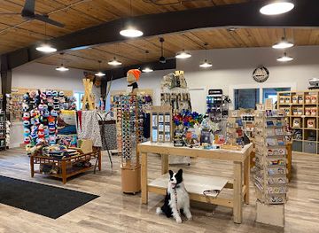 wisconsin/lake-superior-lowland/shop/adventureus